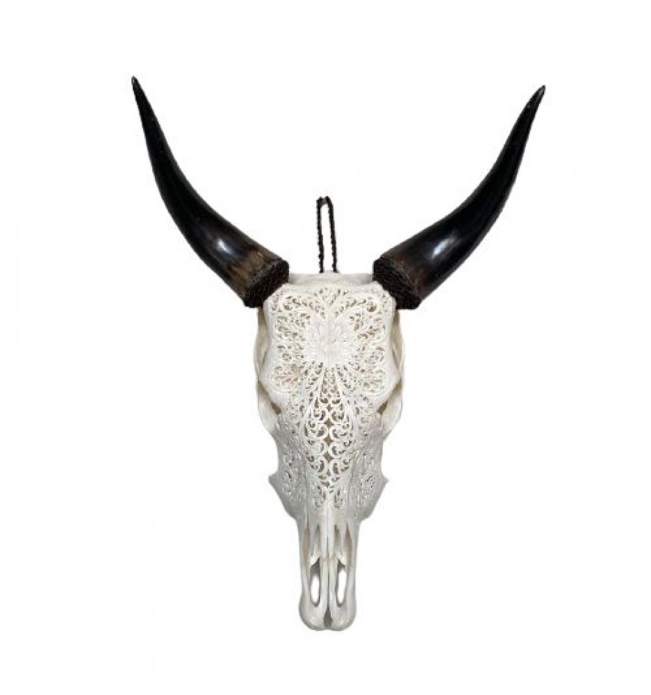 Scrimshawed Asian Water Buffalo Skull